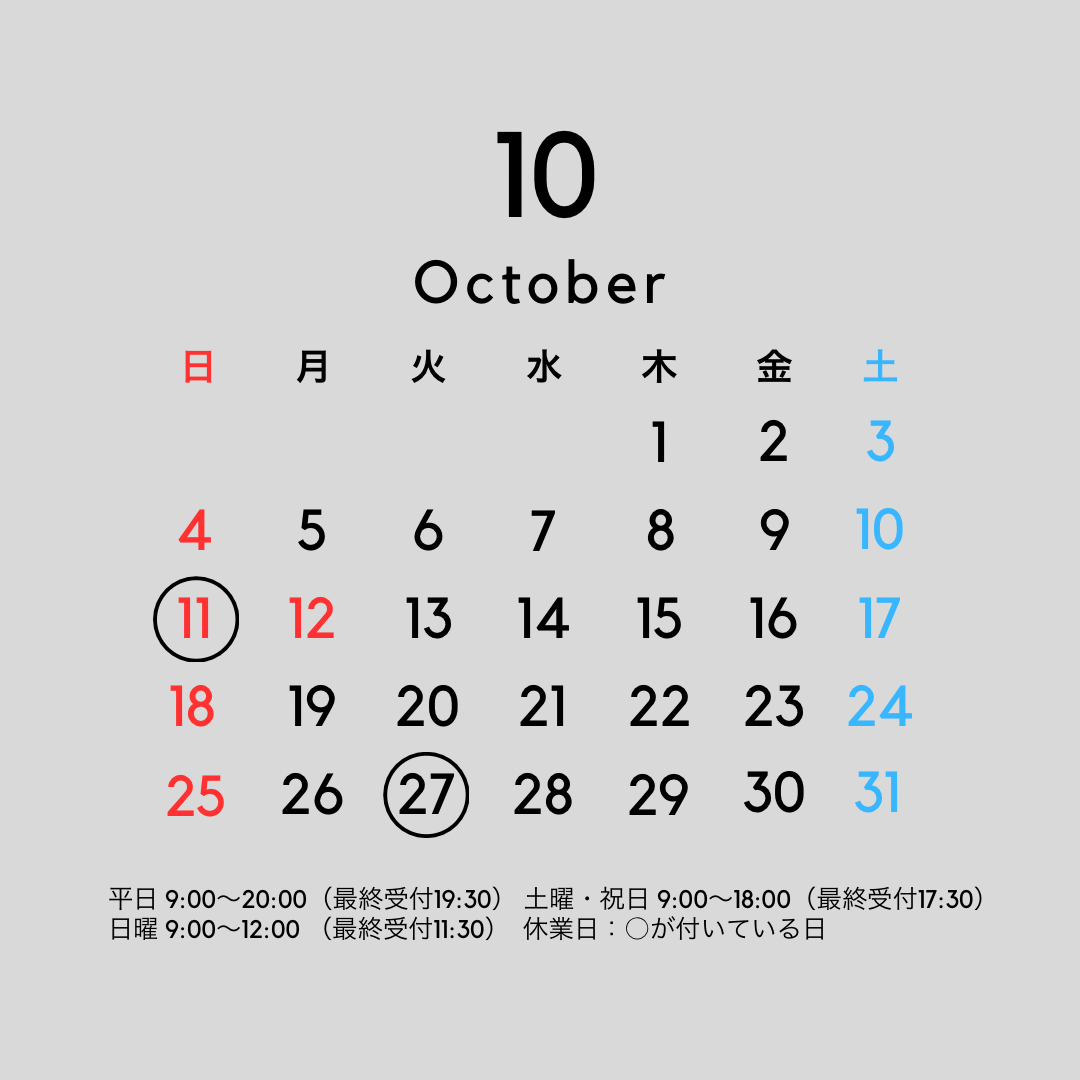ホームページを開設しました