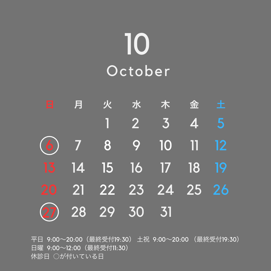 ホームページを開設しました